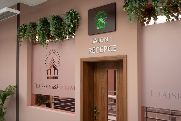 Vstup do recepce a salonu 1
